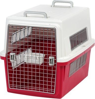 231664_main1883522471623340530.jpg Heavy Duty Plastic Dog cage with metallic Door - Image 1