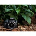 Canon EOS 4000D camera - Image 8